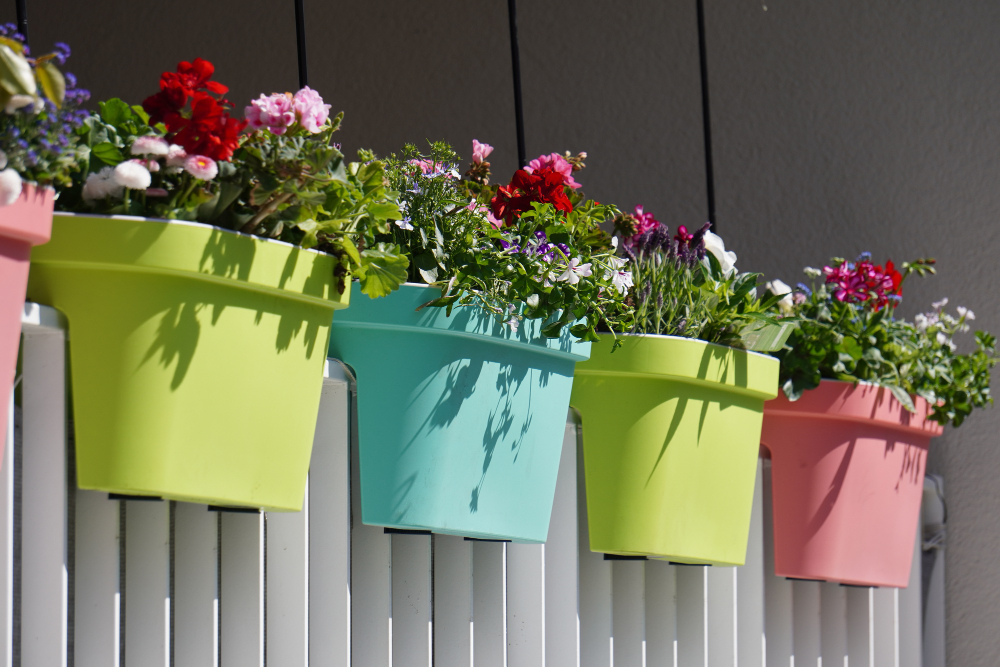 home decorate plant